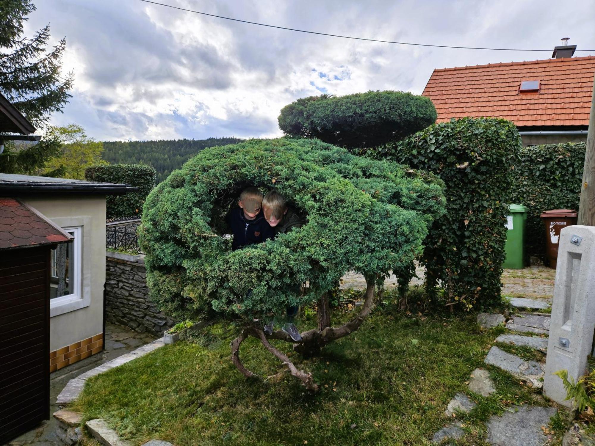 Huette Auf 1000M Hoehe In Moenichkirchen. Exteriér fotografie